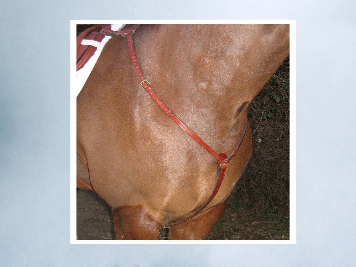 Saddle Accessories