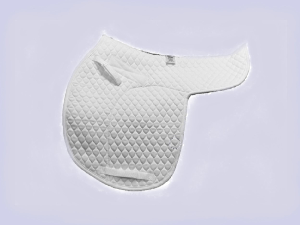 Saddle Pads & Numnahs
