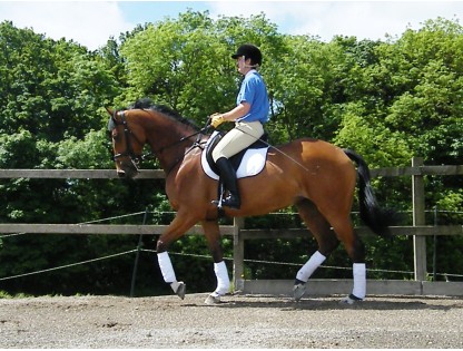 Abigail Rowland, BALANCE registered Saddling Consultant