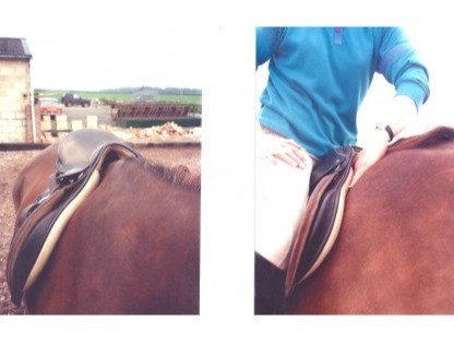 Mary Bashtarz, BALANCE registered Saddling Consultant