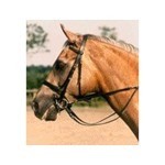 BALANCE Eeezy Reins
