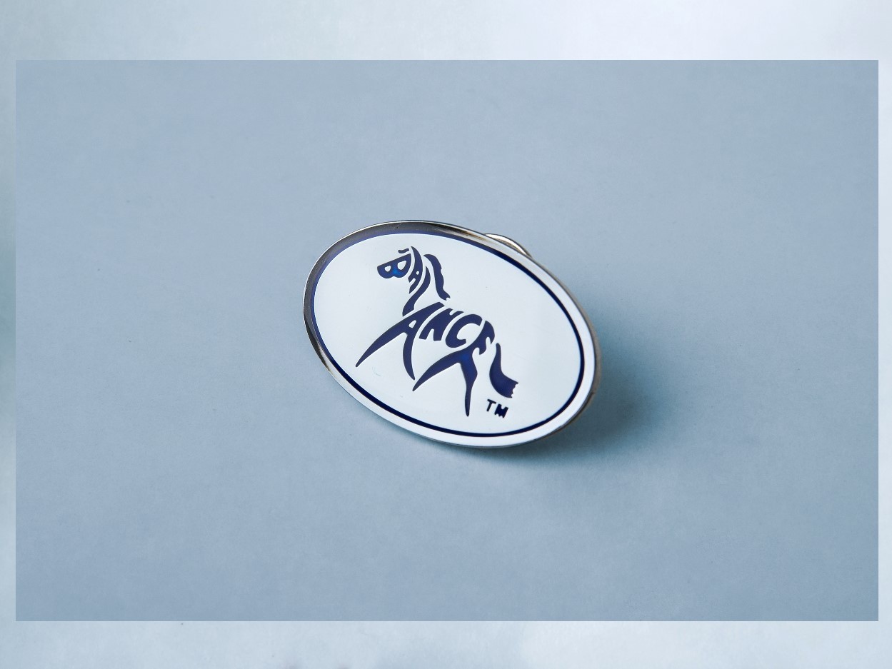 BALANCE Logo Lapel pin