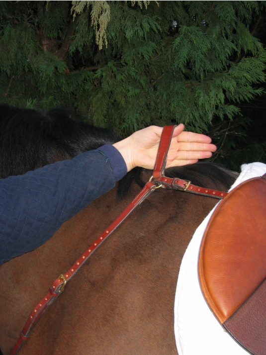 BALANCE English Hunting Style Breastplate REGULAR image 2