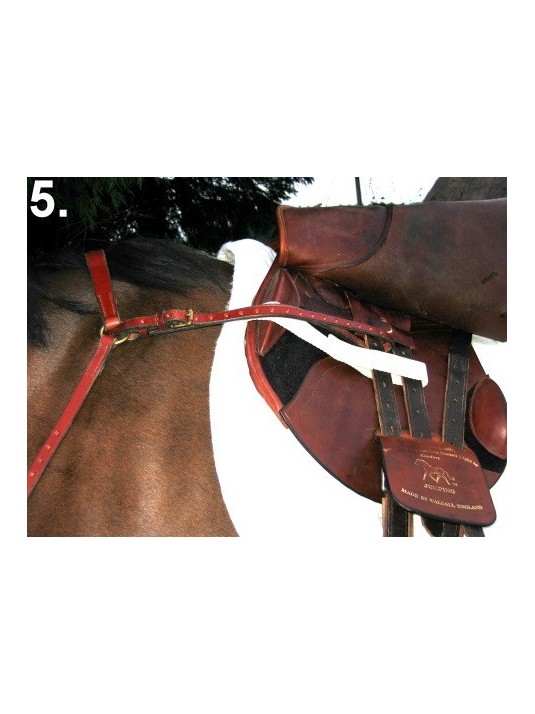 BALANCE English Hunting Style Breastplate LARGE image 1