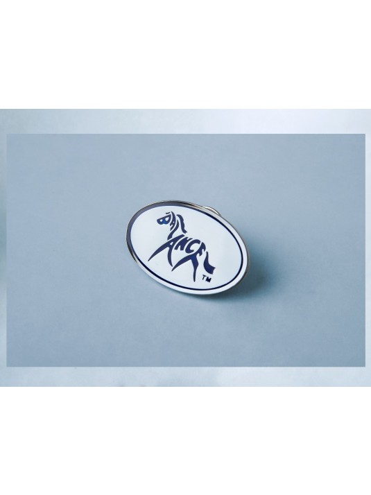 BALANCE Logo Lapel pin image 1