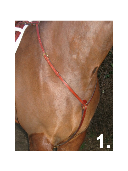 BALANCE English Hunting Style Breastplate LARGE image 3