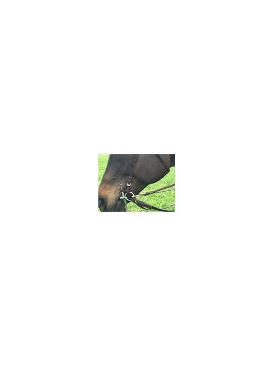 Eeezy Rein Elastics image 2