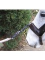 Lunge Rein image 2
