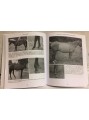 The Horse's Voice image 2