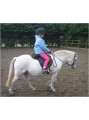 Junior BALANCE Pro-Complete Base  Pad in 1/4  inch. image 2