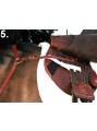 BALANCE English Hunting Style Breastplate PONY image 1