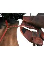 BALANCE English Hunting Style Breastplate LARGE image 1
