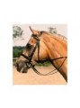 Eeezy Rein Elastics image 3