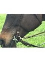 Eeezy Rein Elastics image 2