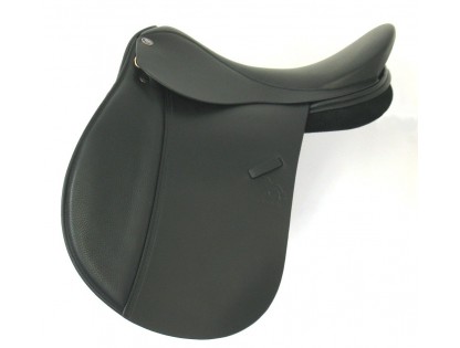 Matrix Saddles