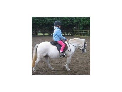 Junior Saddle