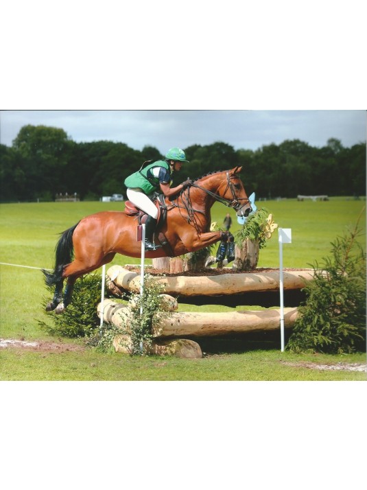 Xtreme Jump with Equinox 2/2 tree. (XJE) image 3