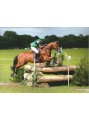 Xtreme Jump with Equinox 2/2 tree. (XJE) image 3