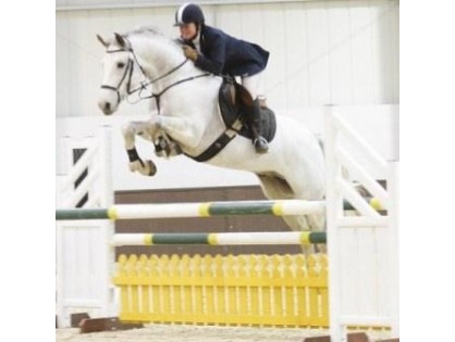 Keeping 20+ year old horses comfortable, backing young horses, or retraining physically damaged horses