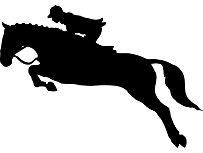 My mission is to introduce this to all my many clients and future clients and make a start to change the lives of as many horses I can.