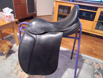 Nexus - Dressage