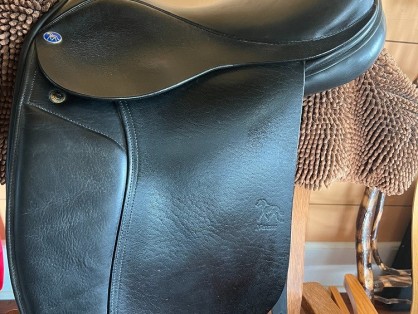 Nexus - Dressage