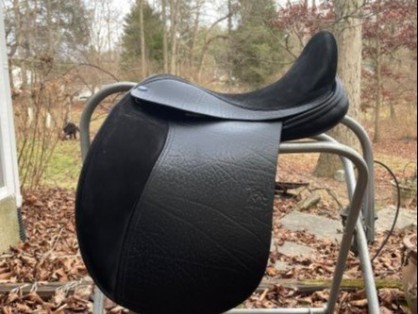 Nexus - Dressage